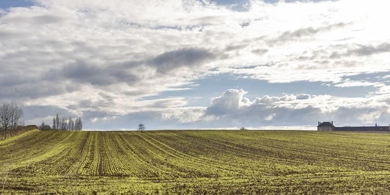 Champ Panorama Gournay